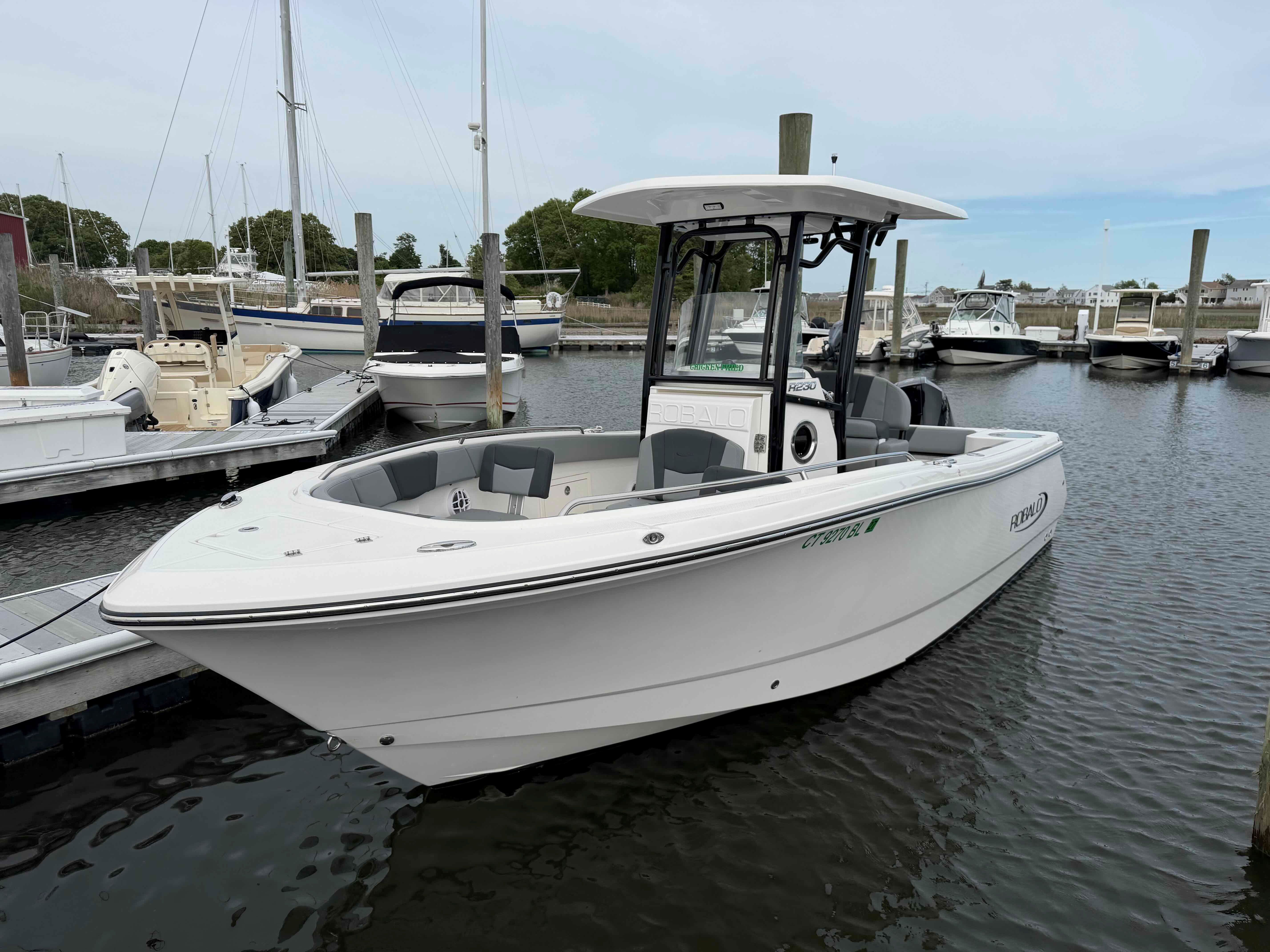 Chicken Fried (23ft Offshore CC Robalo R230)