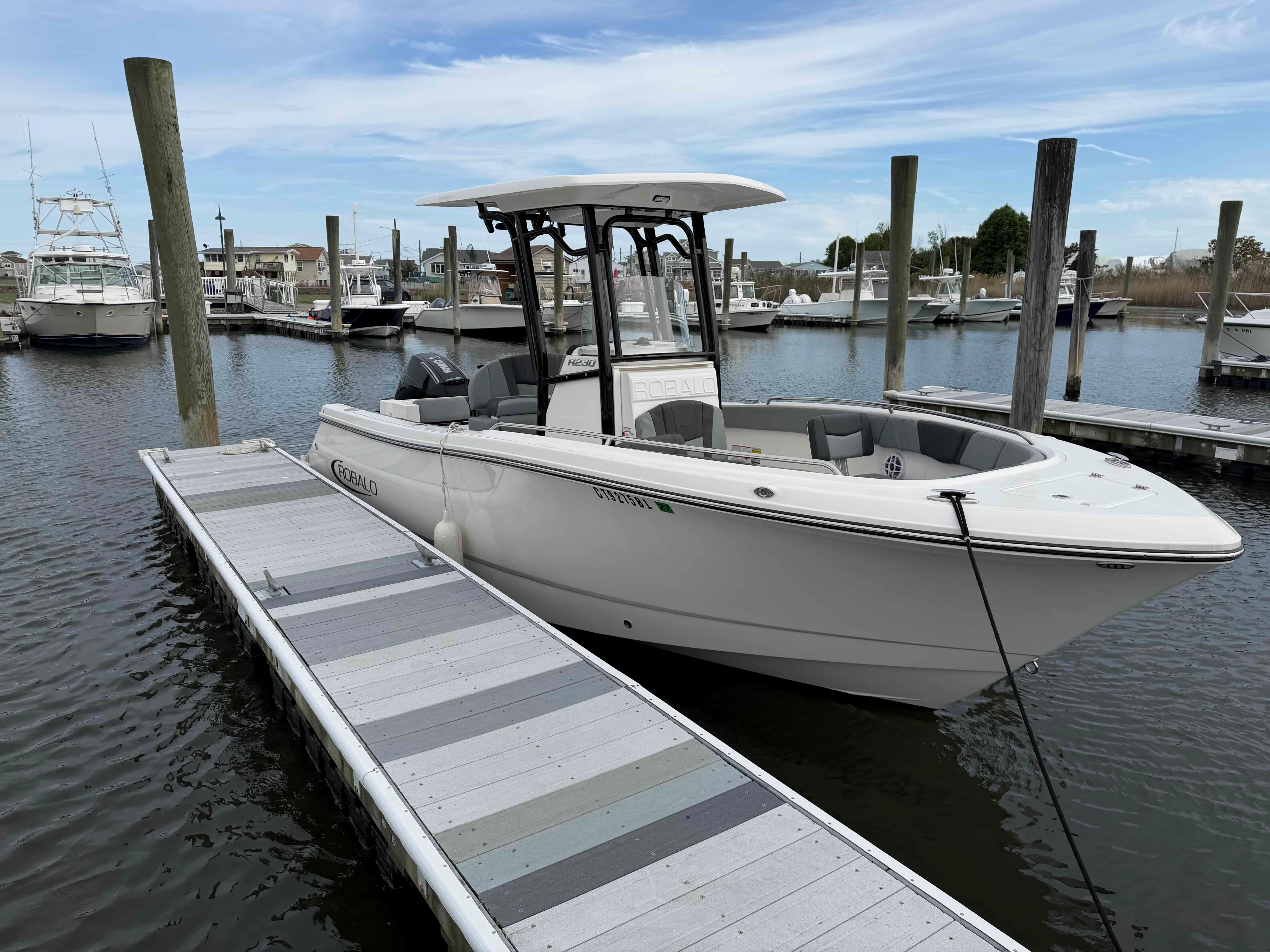 Blue Train (23ft Offshore CC Robalo R230)