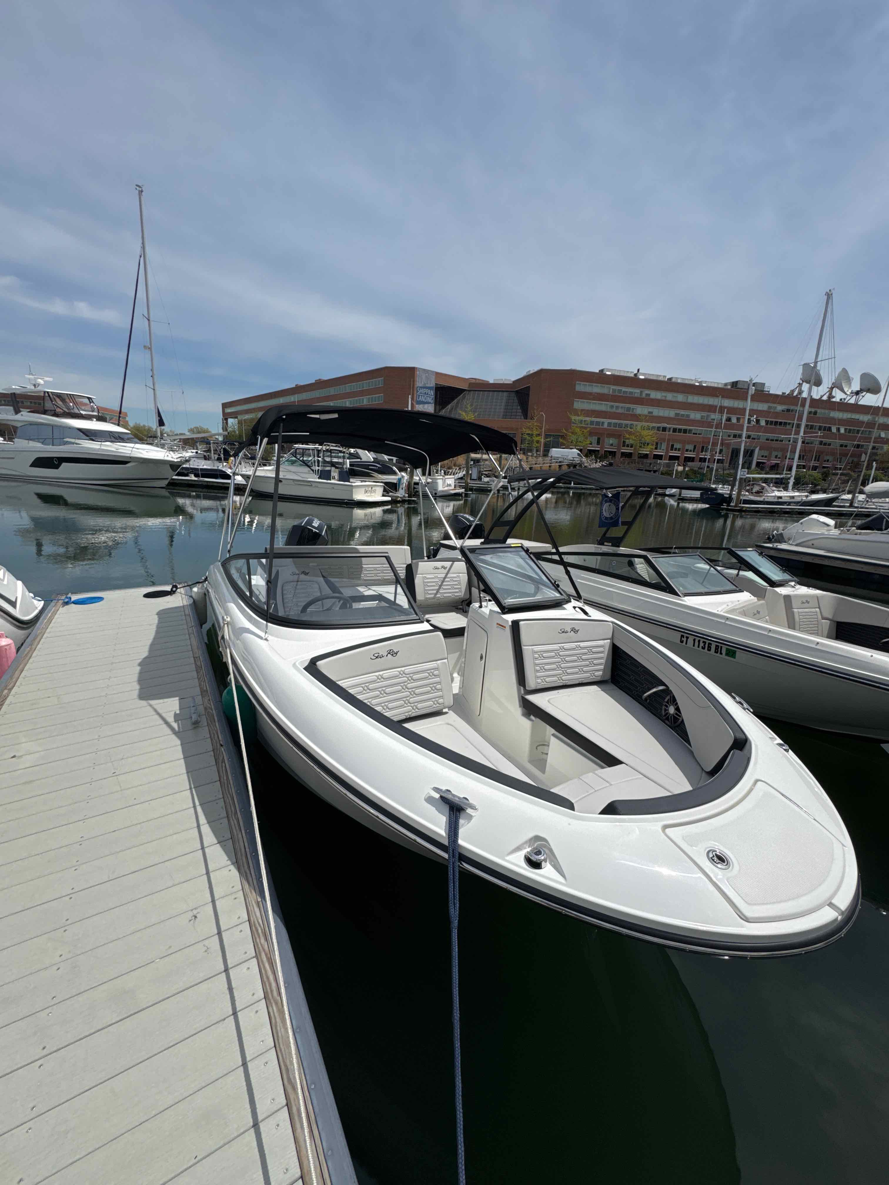 Angel Eyes (Sea Ray SPO 210)