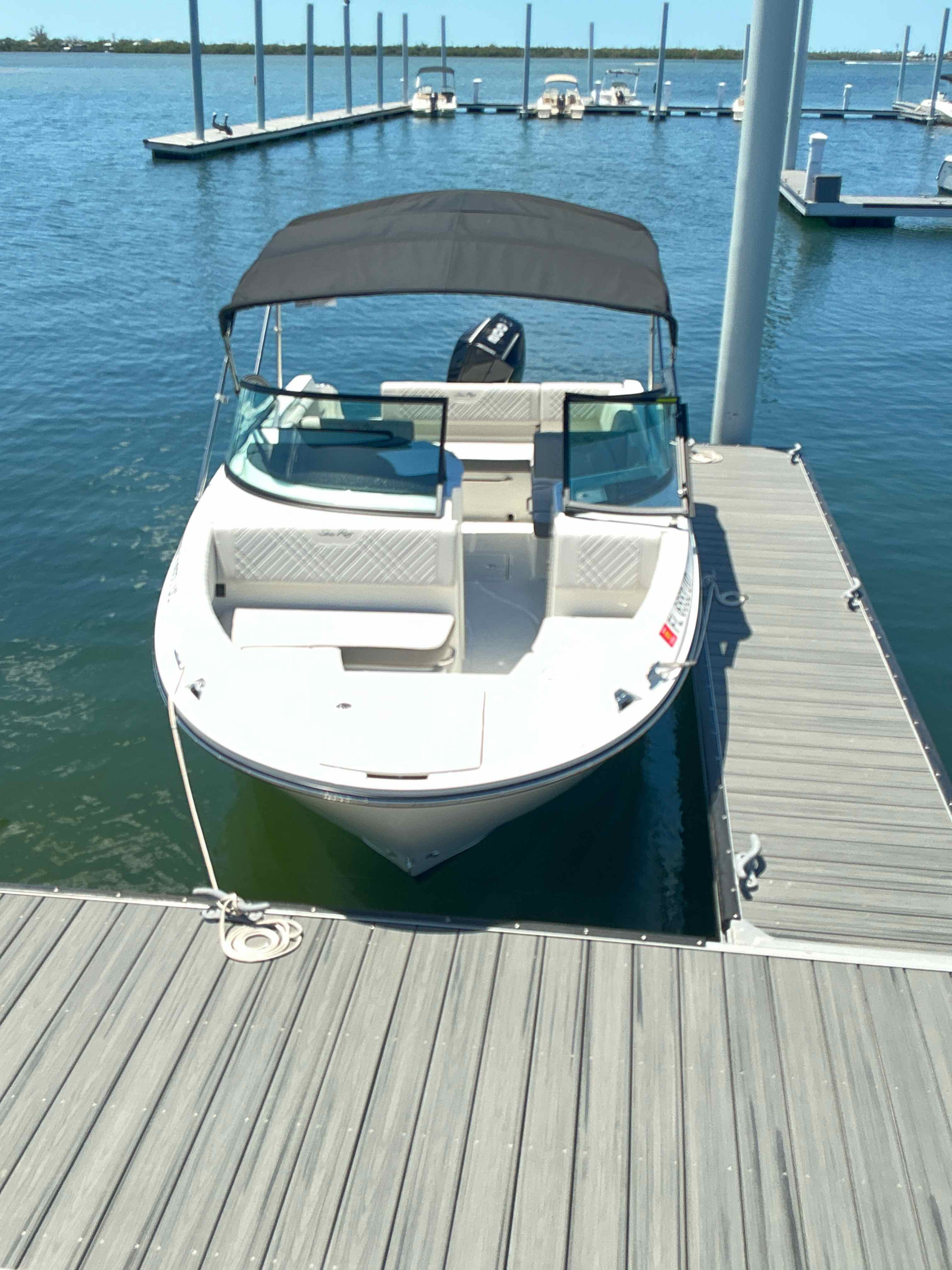 VIRTUAL REELALITY (23' Sea Ray SDO 230 200 HP - cruising)