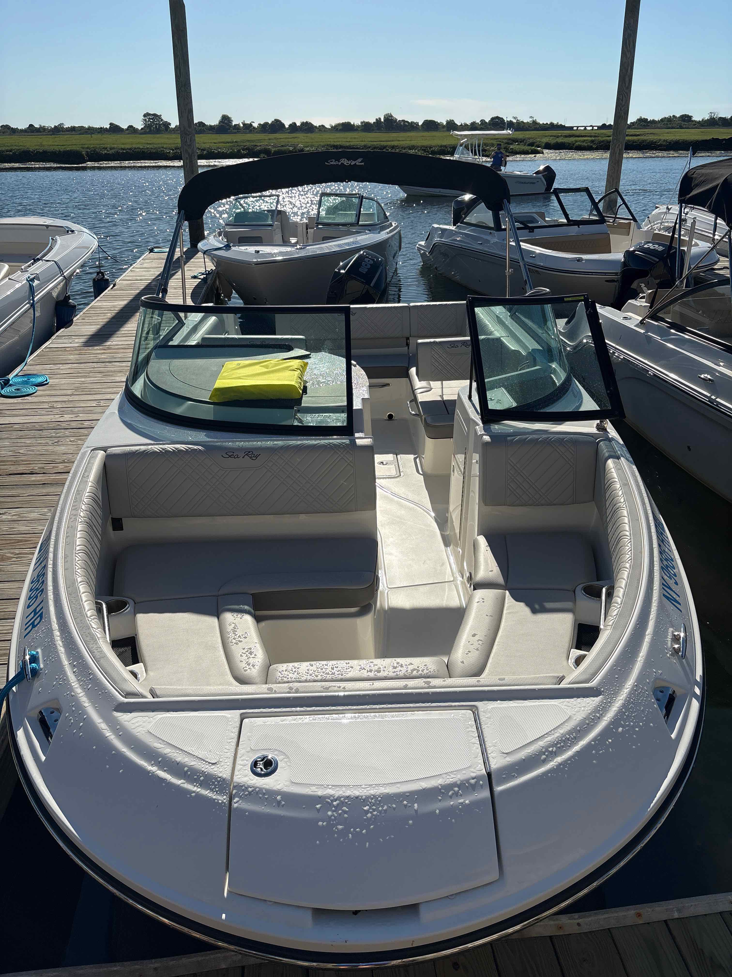 Domino Effect (Sea Ray SDO 230 Mercury 200XL)