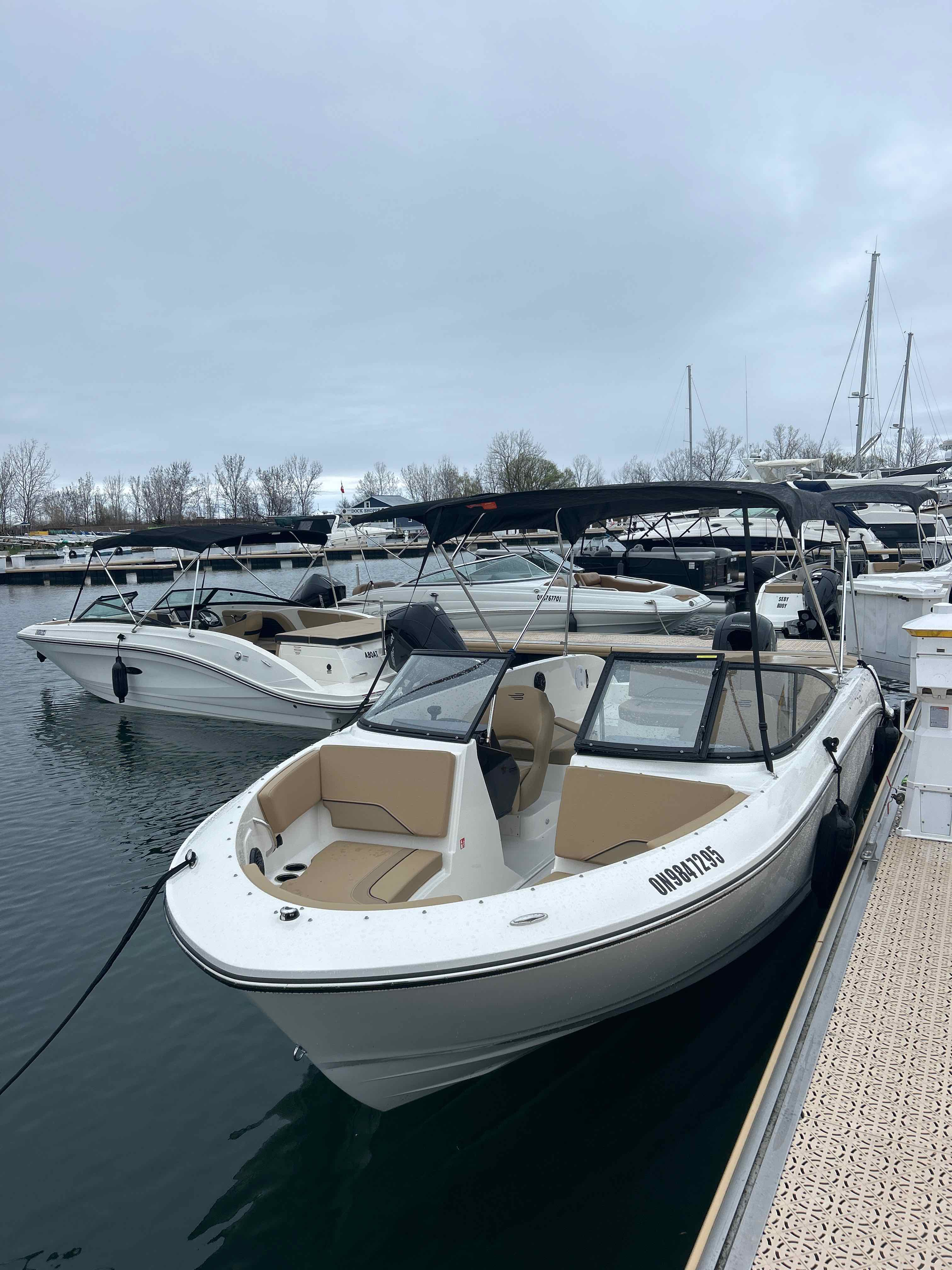 MOTO MOTO (22' Bayliner V22 Bowrider 150HP - Cruising)