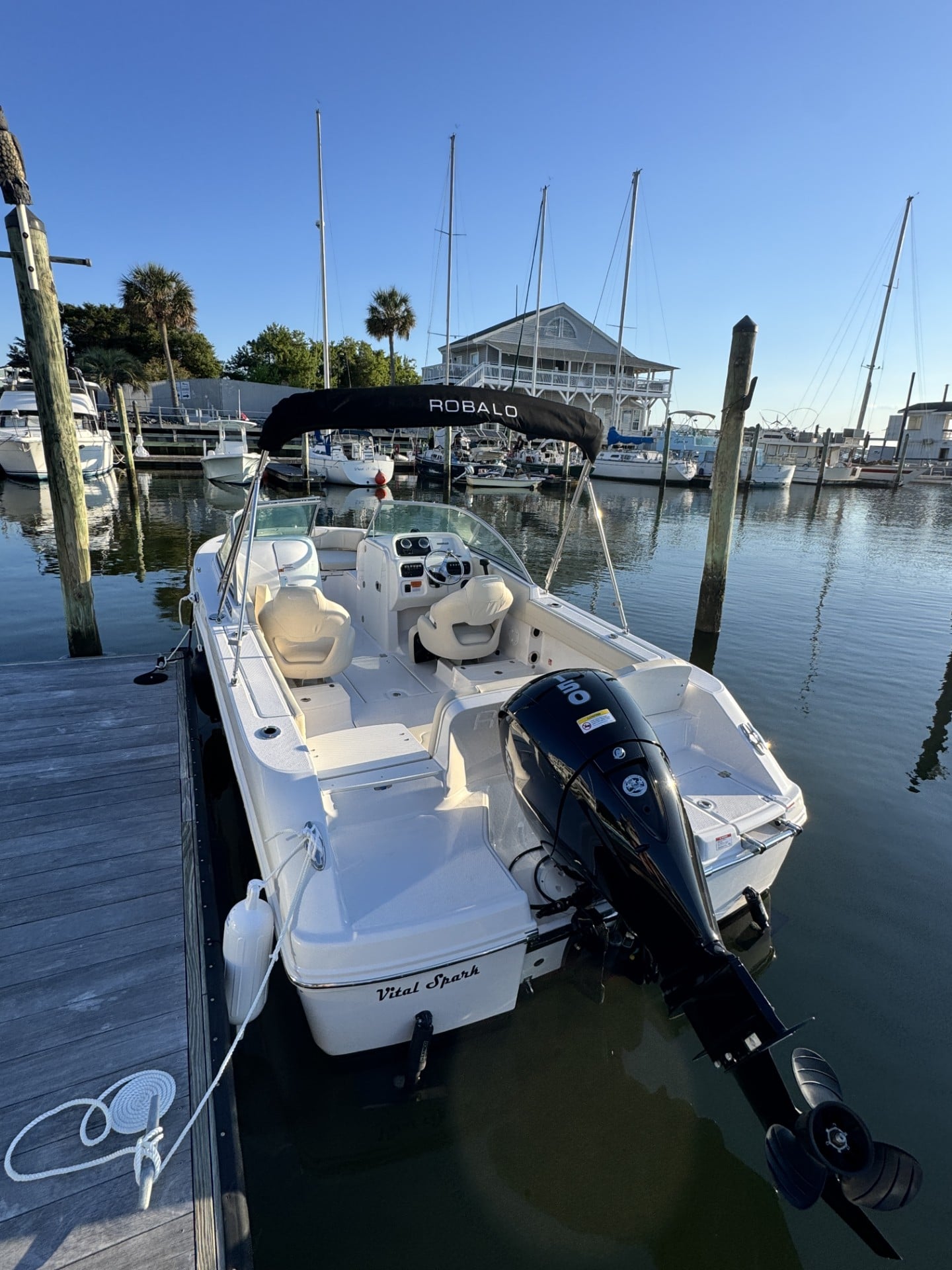 Vital Spark (Bowrider)