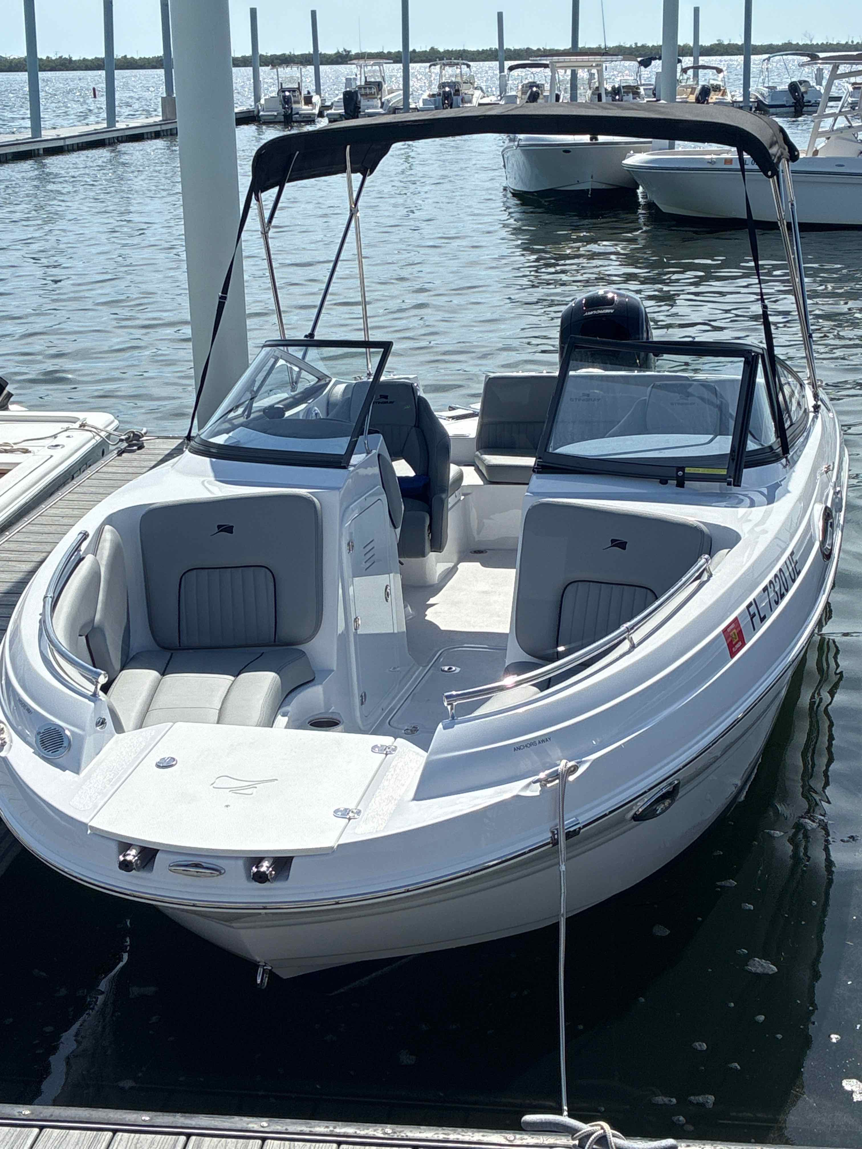 ANCHORS AWAY (21' Stingray 211 DC Mercury 150 HP