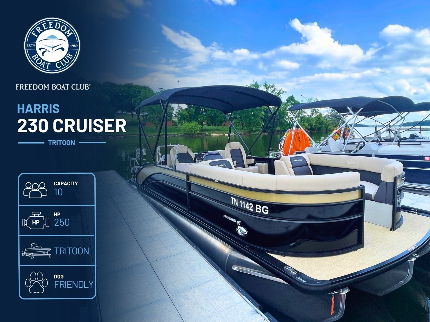 Sabbath - Harris Cruiser - Tritoon