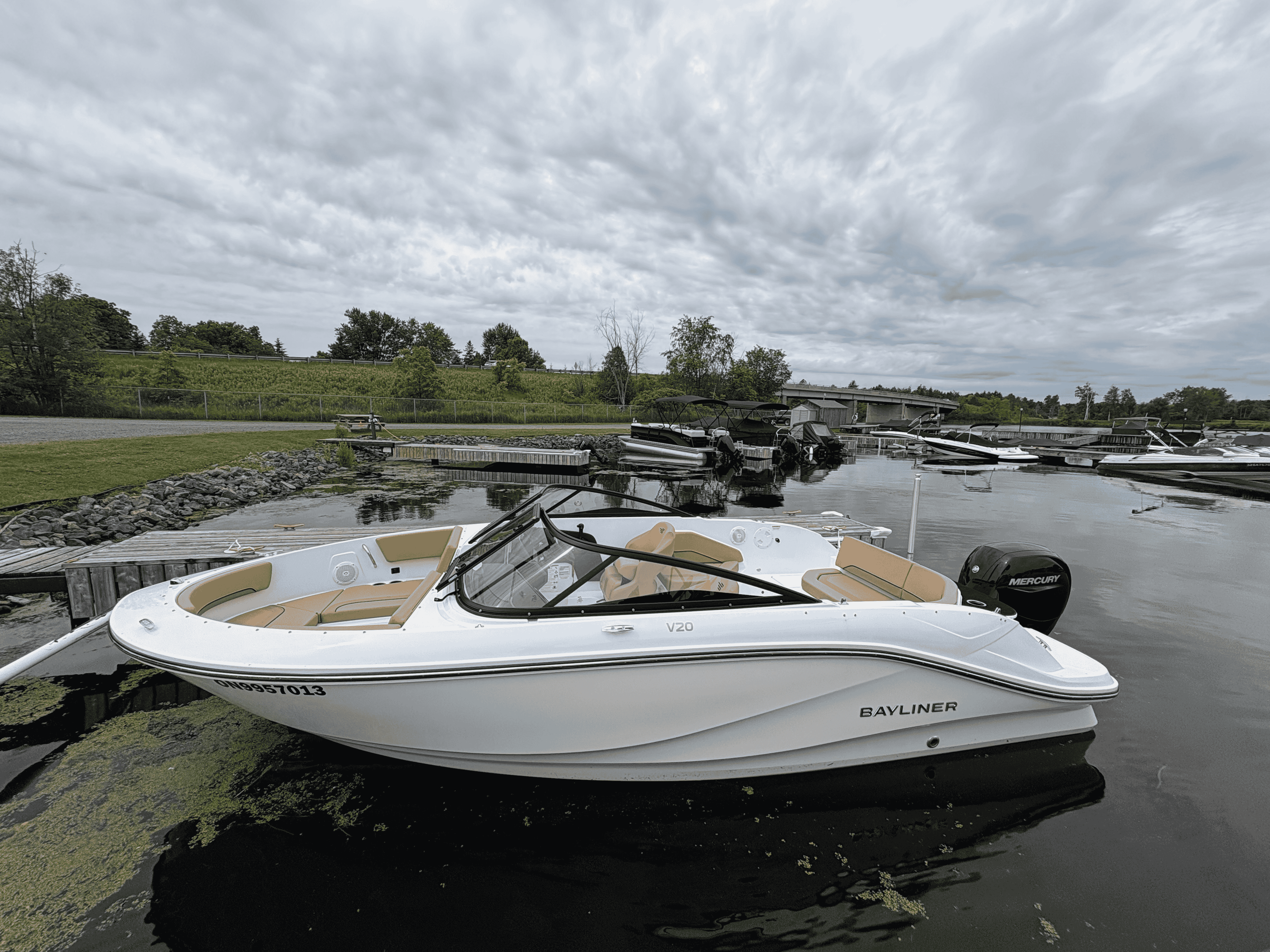 Bayliner V20 (White)