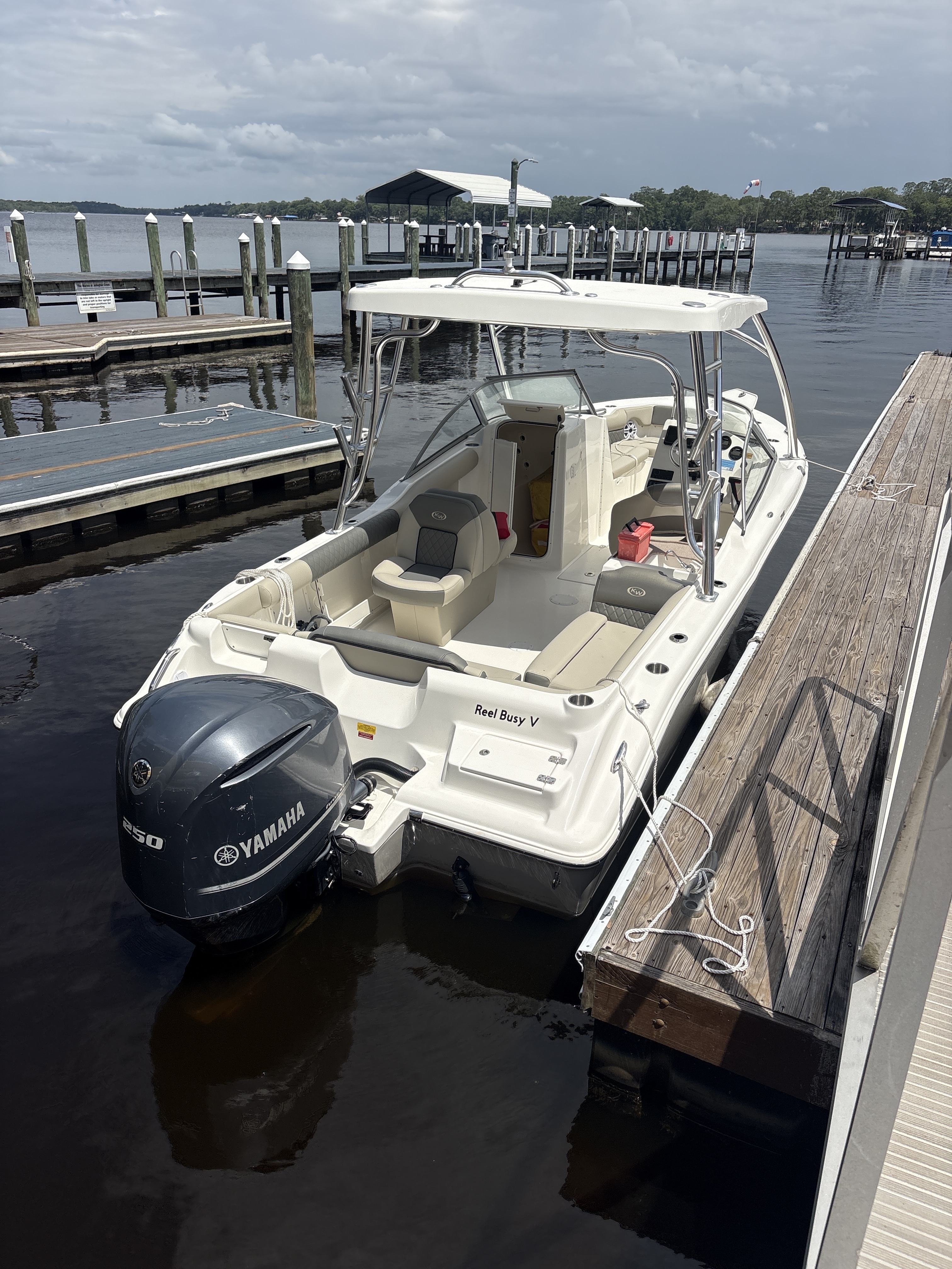 Reel Busy V- 239-Bowrider