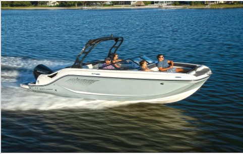 Bayliner D22 (MD907LB)