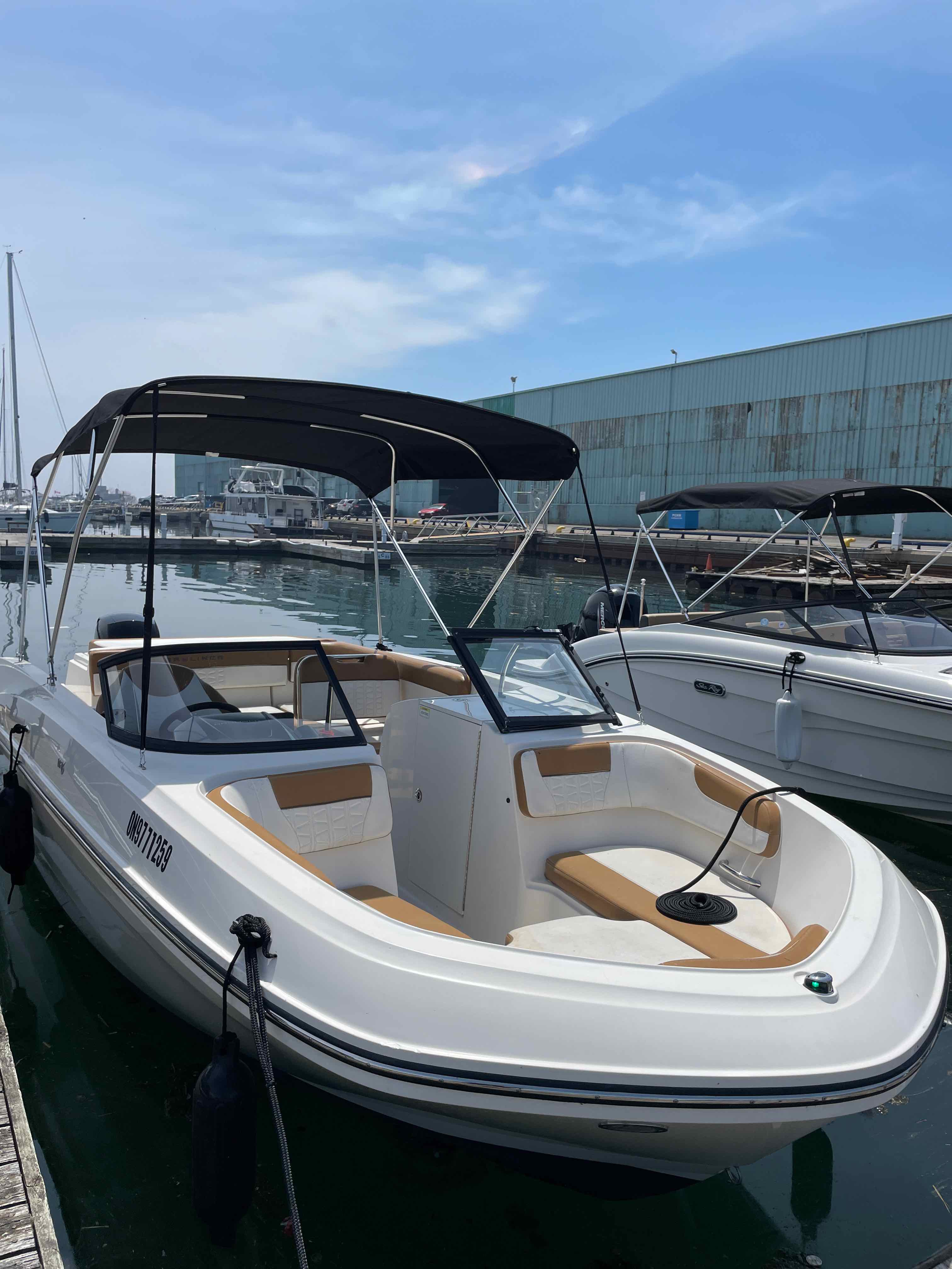 Sirius (Bayliner 22' Deck Boat 150 HP - Cruising)