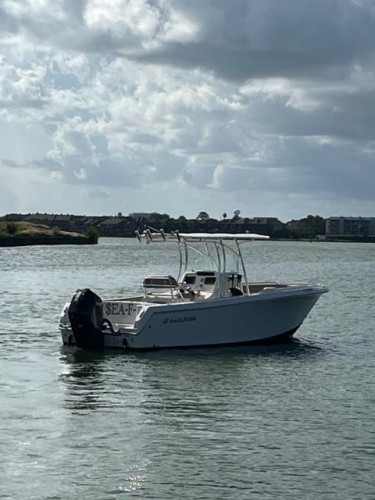 SEA F O - Sailfish