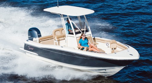 Freedom IX (Scout 215XSF Hardtop Center Console)